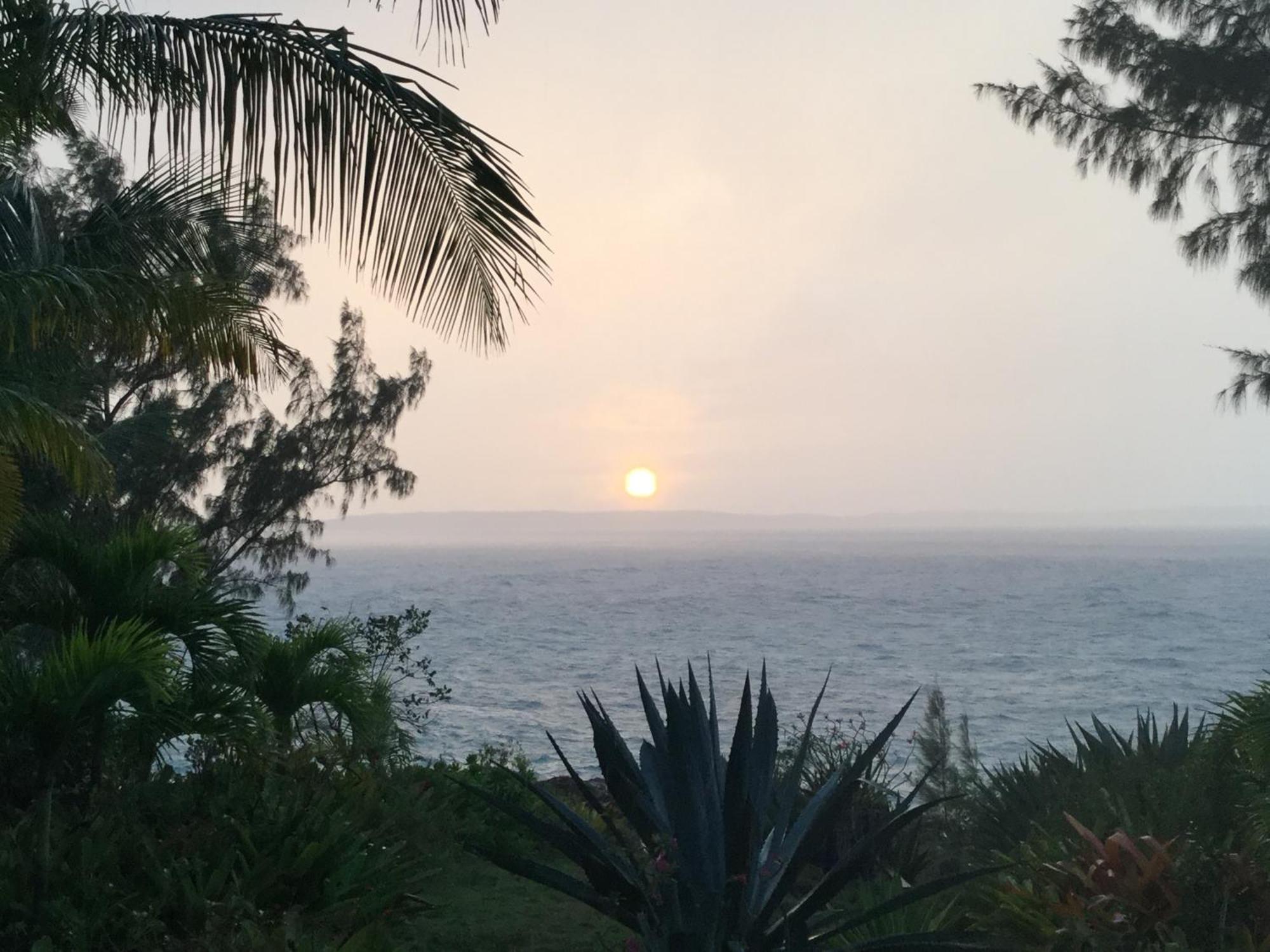 Upper Bogue Ocean Tally المظهر الخارجي الصورة